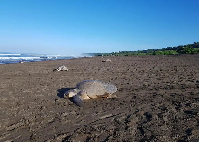 Esencia Guana, Beach House * Santa Cruz (Guanacaste)